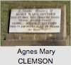 Agnes Mary CLEMSON
