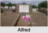 Alfred Ernest WICHT