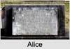 Alice Emily Maude HILTON
