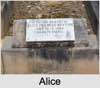 Alice Frances MORRIS