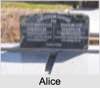 Alice May MCALISTER