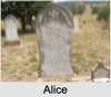 Alice Vine HARGREAVES
