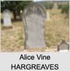 Alice Vine HARGREAVES
