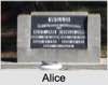 Alice Jane BURKE