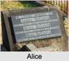 Alice Sarah Beatrice TINDALL