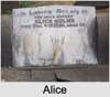 Alice Morgan REID