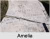 Amelia KITTO