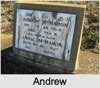 Andrew MCMAHON