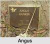Angus RANKIN