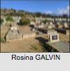 Rosina GALVIN