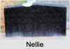 Nellie Austral WALTERS