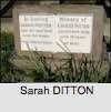 Sarah DITTON