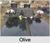 Olive MAKEHAM
