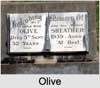 Olive SMART