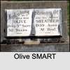Olive SMART