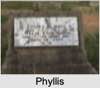 Phyllis Vyne CONNORS