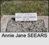 Annie Jane SEEARS