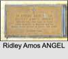 Ridley Amos ANGEL