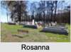 Rosanna BOYD