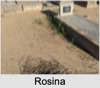 Rosina GALVIN