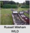 Russell Mileham WILD