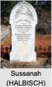 Sussanah (HALBISCH)