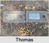 Thomas Christopher MOORE