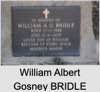 William Albert Gosney BRIDLE