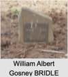 William Albert Gosney BRIDLE