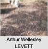 Arthur Wellesley LEVETT
