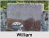 William WHITICKER