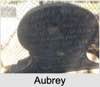 Aubrey J NAUGHTON