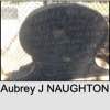Aubrey J NAUGHTON