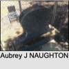 Aubrey J NAUGHTON
