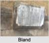 Bland CLAYTON