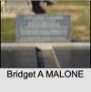 Bridget A MALONE