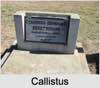 Callistus Howard ECCLESTON