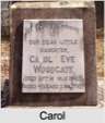 Carol Eve WOODGATE