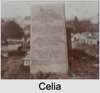Celia Eliza REIBEY