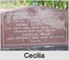 Cecilia Rose LAMBERT