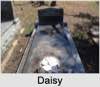 Daisy Anne BEDELL
