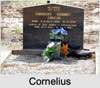 Cornelius Gregory COWLED