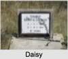 Daisy Gertrude LOCKER