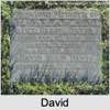 David Ellis 