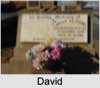 David Edward Lewis LEFEVRE