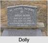 Dolly Bunt PATON