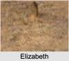 Elizabeth DUFFY