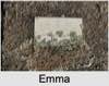 Emma Sophia SPELLMAN