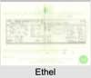 Ethel 