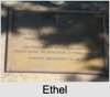 Ethel Vera Eleanor BURT